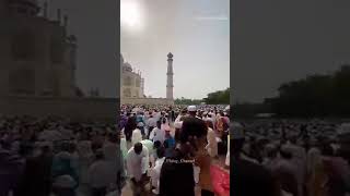 Taj Mahal beautiful story mash allah