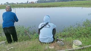 Mancing Di Rawa Sama Teman Sampai Berebut Strike