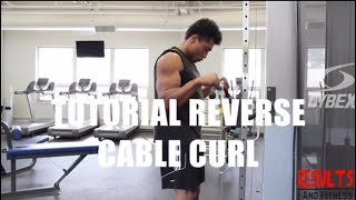 Tutorial | Reverse Cable Curls