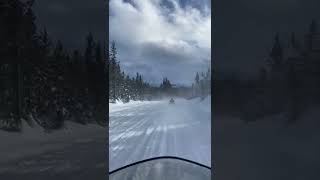 Snowmobiling Tour in Yellowstone National Park 🦬