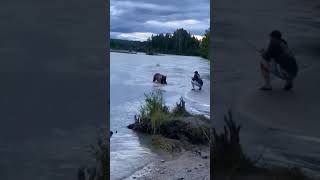 Brown Bear STEALS His Fish! 😂