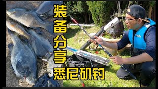 悉尼钓鱼 新鱼竿【开杆实测】Manly内弯 Bream + 黑毛鱼 【渔具严选】