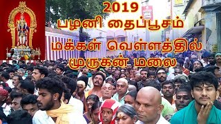 2019 பழனி தைப்பூசம் - Smashing TV