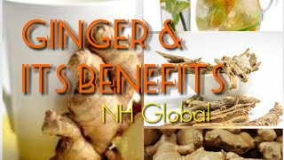 How ginger helps reduce weight and other medicinal benefits. By NH Global