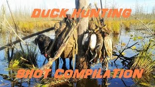 Duck Hunting Shot Compilation