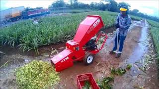 Video Trituradora GTM Professional, GTS1300C Plantación Piña