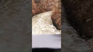 Awesome stream of water 🤯