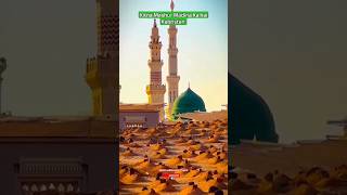 Kitna Mashur Madine Ka Hai Kabristan ❤️ #shorts #ytshorts #status #islamic #madina #viral #share