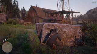 Pulled Up On A Rival Gang Hideout...Red Dead Redemption 2