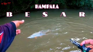 SPOT HAMPALA BESAR YANG DI CARI SEMUA PEMANCING DI PEDALAMAN HUTAN KALIMANTAN