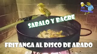 Tremenda fritanga al disco de arado - sabalo y bagres - los pescadores #pesca #lospescadores