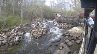 Damariscotta 2021 fish ladder