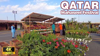 QATAR | Mahaseel Festival - 4K UHD 60fps #qatar #katara #green #2023