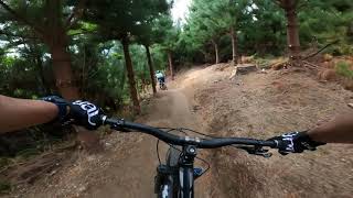 Super Fast and Flow, Whaki Trail Whakarewarewa Forest Rotorua