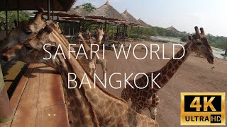 4K🐆🦒 A Day at Safari World Bangkok! Exploring the Wonders of Wildlife! 🦁🐘🌞