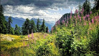 Thru Hiking The Via Alpina Red Trail R129 Vallouise To Freissiniéres French Alps France