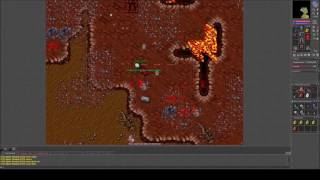 Tibia #141-  Double XP Week - Sinnlose Suche nach einem Hunting Place