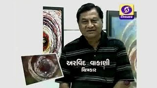 Artist Arvind Vakani   2013   Doordarshan Interview   Ravishankar Gallery