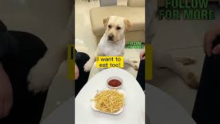 Must be the same as what we eat!! #foryou #cuteanimals #animals #funnyvideo #viral #tiktok #trending