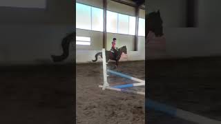 #лошади #конныйспорт #horse #эдит #конкур #хочуврек #рекомендации #shorts