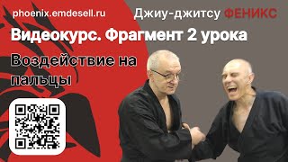 Фрагмент из видеокурса "От белого до чëрного пояса".