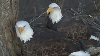 Decorah Eagles  11-28-15  Big Stick Delivery & Awesome Evening Panning