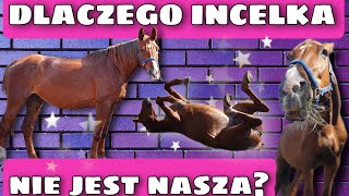 NASZE KONIE: INCELKA | stajnia vlog