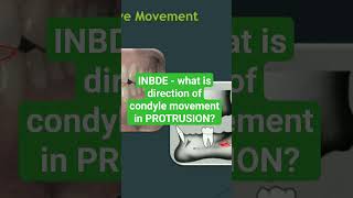 INBDE - what is direction of condyle movements in jaw protrusion?