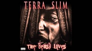 Terra Slim - State Reparations