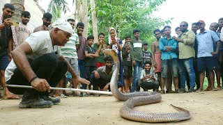 खतरनाक चंद्रनाग के रेस्क्यू के दौरान कैमरामैन के साथ होगया हादसा।Spitting Rare Monocled Cobra rescue