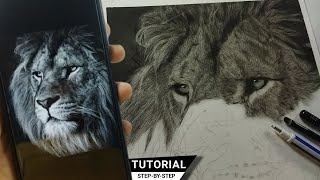 How to Draw Realistic Fur for Beginners