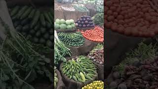 Fresh vegetables #shorts #trending #shortvideo