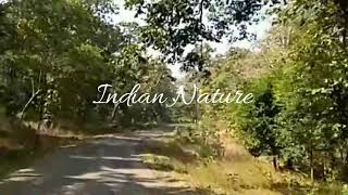 Shabari Dham by Indian Nature.