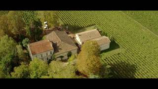 Vendanges 2019 vues du ciel au Château Corbin Michotte