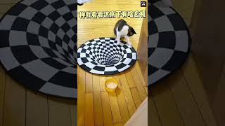 Scared Funny Cats and Dogs from 3D Carpet #shorts #cat # #funnyanimal