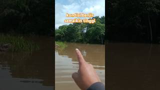 Banjir di pedalaman kalimantan semakin tinggi