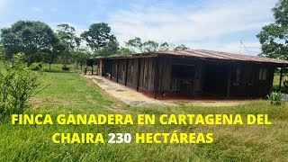 ESPECTACULAR FINCA GANADERA A 40 MINUTOS DE CARTAGENA DEL CAHIRA