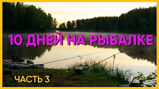 Ловля леща на фидер с ночевкой.  Речной песок как прикормка