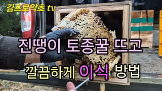 토종꿀 진땡이꿀 3통채밀 #뒷박에 깔끔하게 옴기는 방법 설명 👉👍