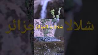 cascade Algérie 🇩🇿 #سعود_الشريم #music #nature #relaxing #relaxingmusic #waterfall #cover