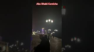 Abu Dhabi Corniche | Beautiful night view