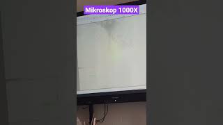 mickroskop