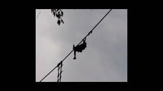 #speciol force confidence jump (80feet)||Subscribe and like ||SL commando yakku youtube channel