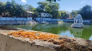 Mylapore - Chitrakulam | Chennai Explorer's | Religious Place | Summer