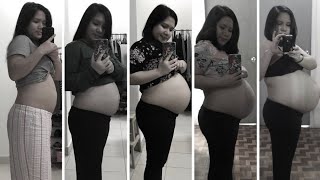 Pregnancy Journey