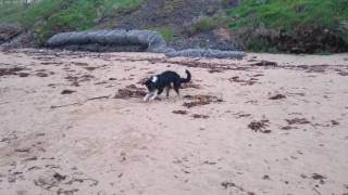 Infinitely sandy frisbee