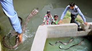 भैंसी गांव में टूबवेल के अंदर एक साथ मिले 2 कोबरा सांप माली हुए हैरान कैसे पकड़ा Animal रेस्क्यू