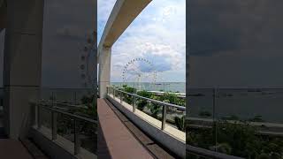 SM MOA SKY GARDEN #shortvideo #pasaycity #skygarden