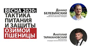 «Весна 2020 тактика питания и защиты озимой пшеницы»