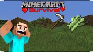 Minecraft survival series|making a sugar cane farm|(PART-5)